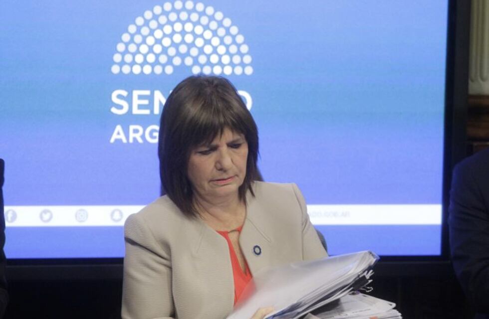 Patricia Bullrich, sobre el caso Maldonado: "No voy a culpar a los gendarmes, me la voy a bancar yo"