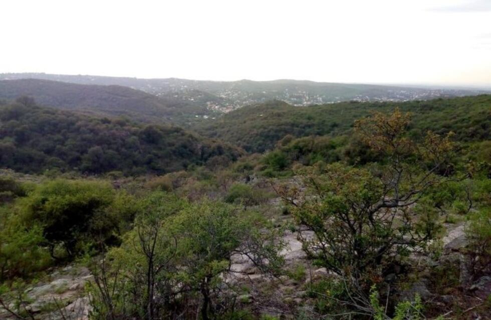 Nueva edición de la Feria de Educación Ambiental