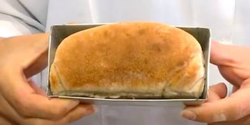 Así es el pan de cucarachas, el alimento del futuro