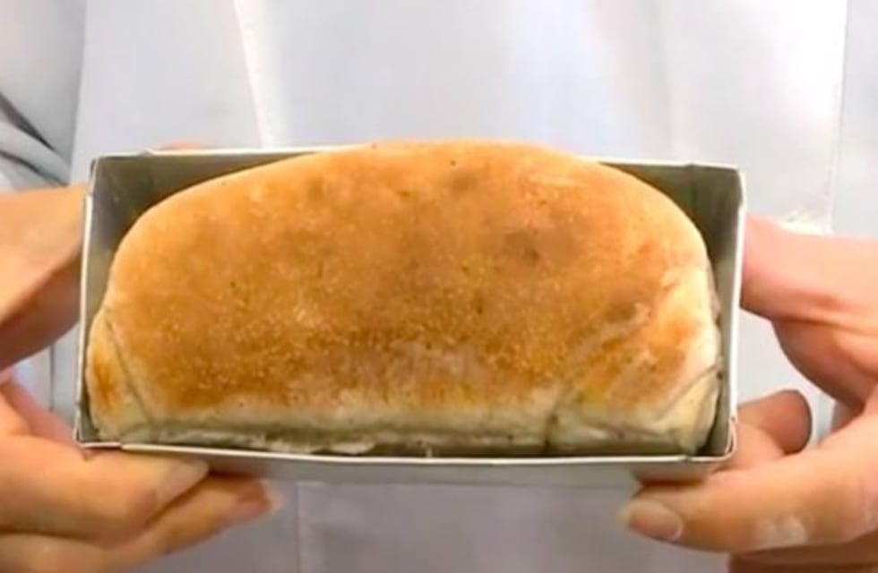 Así es el pan de cucarachas, el alimento del futuro