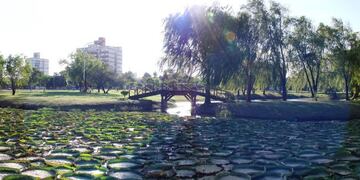 Resistencia vivirá una semana de Conciencia Ambiental