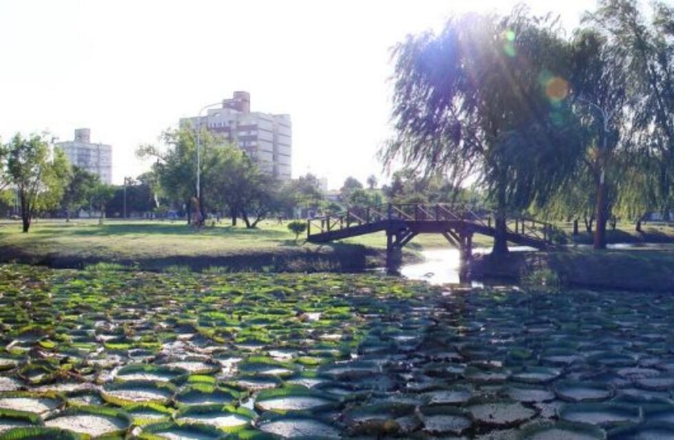 Resistencia vivirá una semana de Conciencia Ambiental