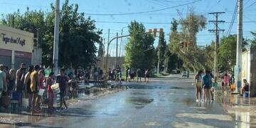 Chaya sanjuanina\u002E