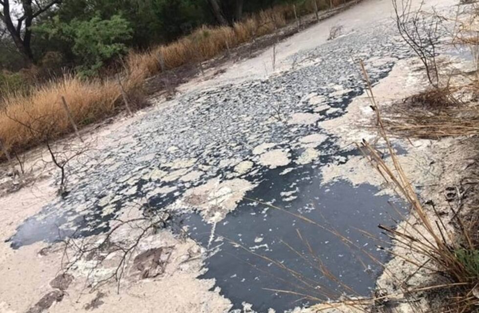 El río que esconde animales muertos, olor fétido y una ruta hundida