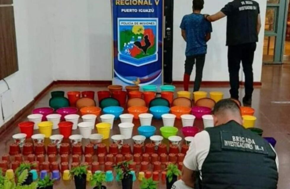 Detienen a un joven por el robo de plantas y macetas de un vivero