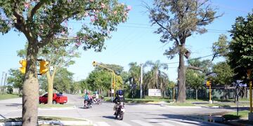 Semáforos de Bv\u002E Roca y las avenidas Podio y 500 Millas (Prensa Municipalidad de Rafaela)