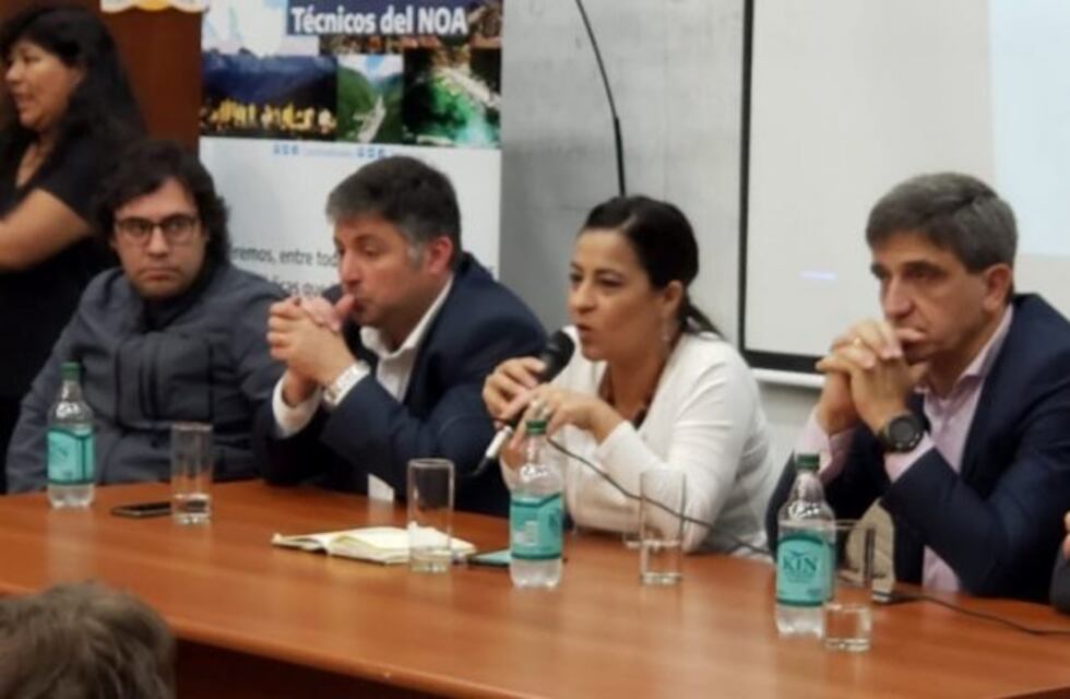 "Alberto y Cristina van a ganar", aseguró la diputada Moisés