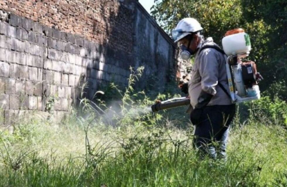 Por el Dengue comienzan a fumigar casa por casa