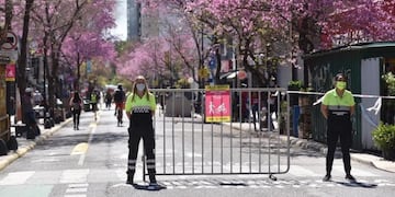 Vuelven a peatonalizar corredores platenses por el Día Mundial del Urbanismo (Municipalidad de La Plata)