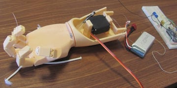 Diseñan mano biomédica que será manejada con la contracción o relajación de un músculo\u002E (Web)\u002E