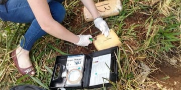 Incautaron 30 kilos de marihuana en Iguazú\u002E