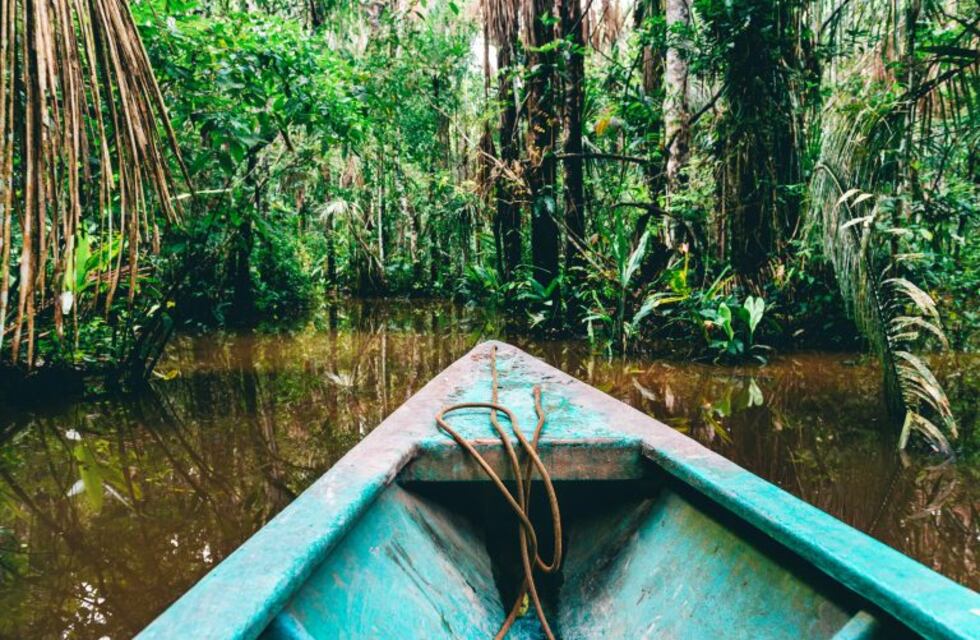 El grito de la Amazonía