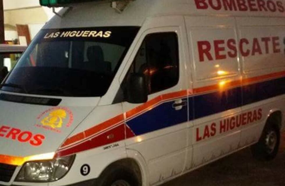 Dos niños con principio de asfixia por un incendio en Las Higueras