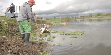 Dia Mundial del Ambiente: Resistencia limpia sus lagunas y planta árboles