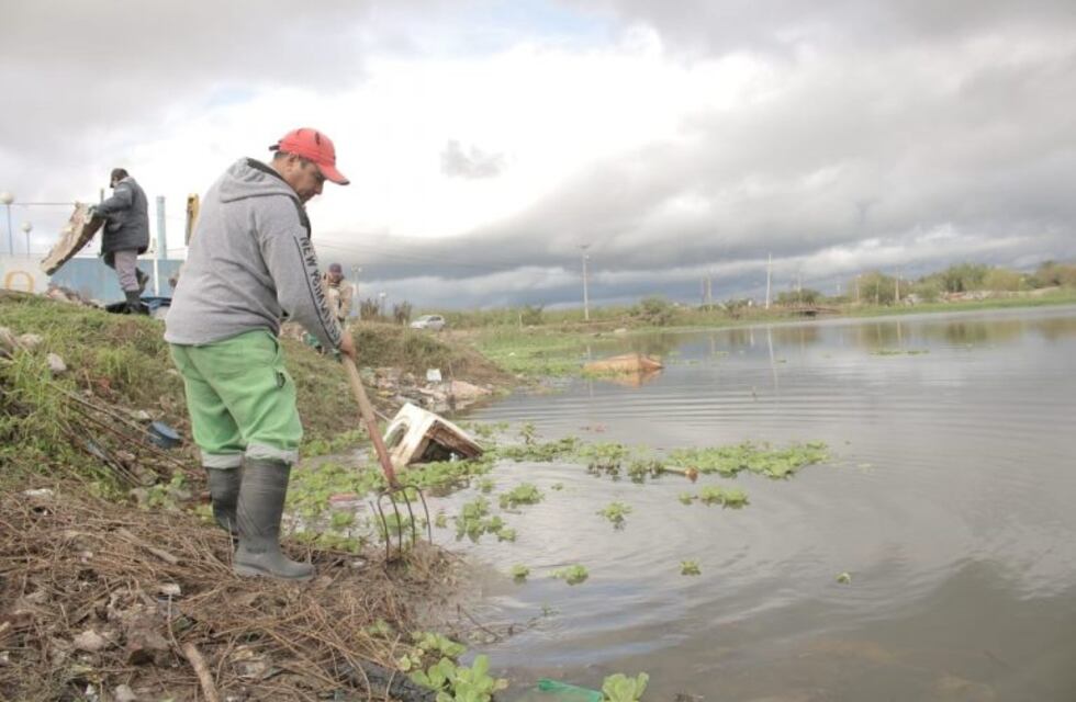 Dia Mundial del Ambiente: Resistencia limpia sus lagunas y planta árboles