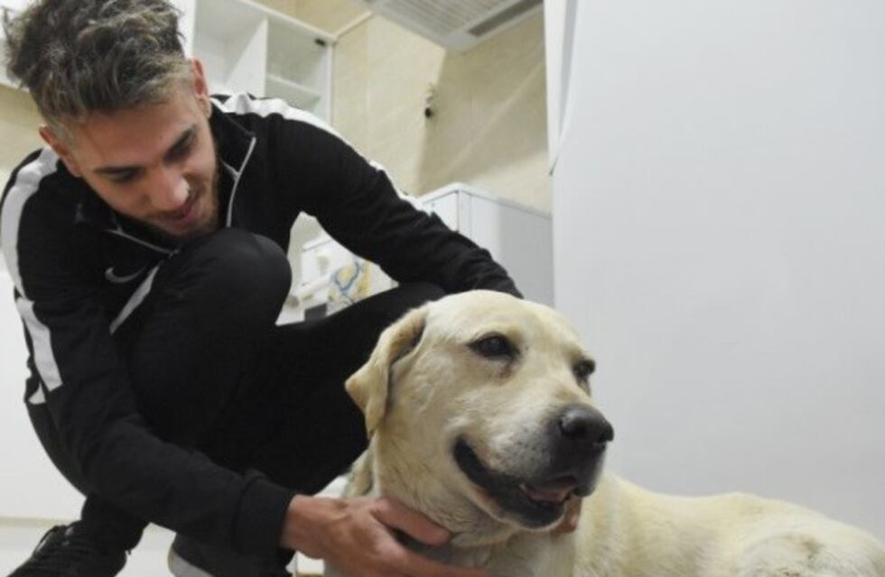 Buscó a su perro durante 3 años y lo encontró por medio de Facebook