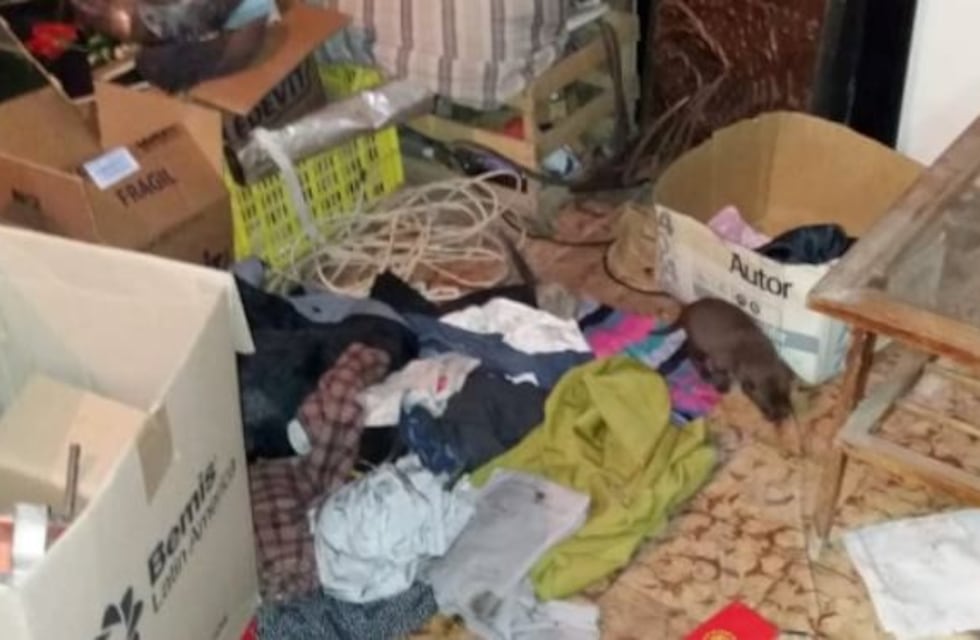 Tunuyán: le robaron 28 veces en dos meses y quedó en la calle