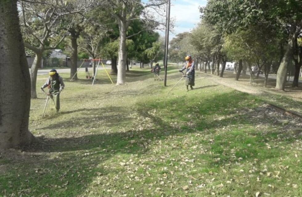 Retoman el desmalezado de los espacios públicos