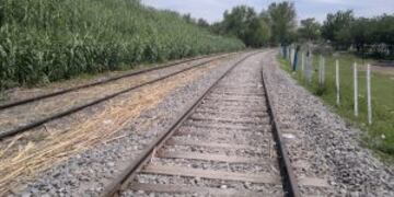 El cadu00e1ver fue hallado descuartizado sobre las vu00edas en Villa Gobernador Gu00e1lvez.