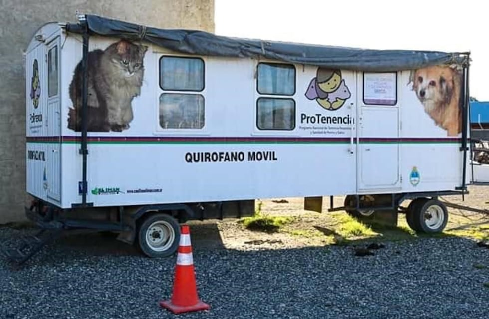 En Villa Mercedes realizarán las castraciones de mascotas en un quirófano móvil