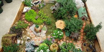 Vos podés diseñar un minijardín en tu casa de la mano de este curso dado por la Municipalidad\u002E