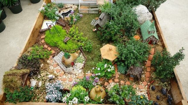 Vos podés diseñar un minijardín en tu casa de la mano de este curso dado por la Municipalidad\u002E