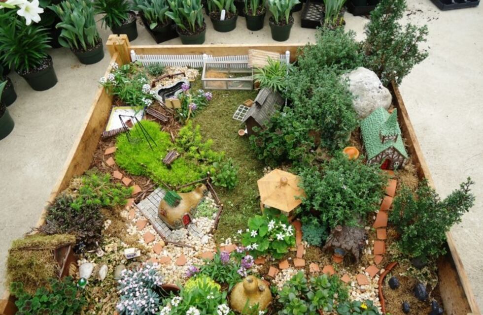 Taller gratuito de mini jardines de la Municipalidad: día y cómo anotarte