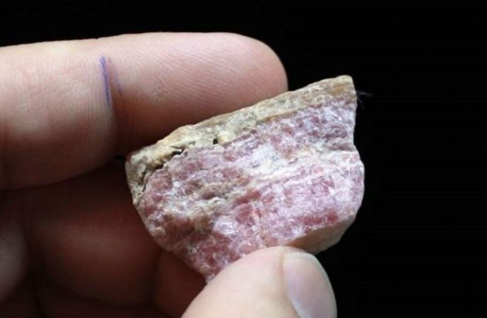 Bosio: "El año pasado fue bastante difícil para Catamarca Minera"