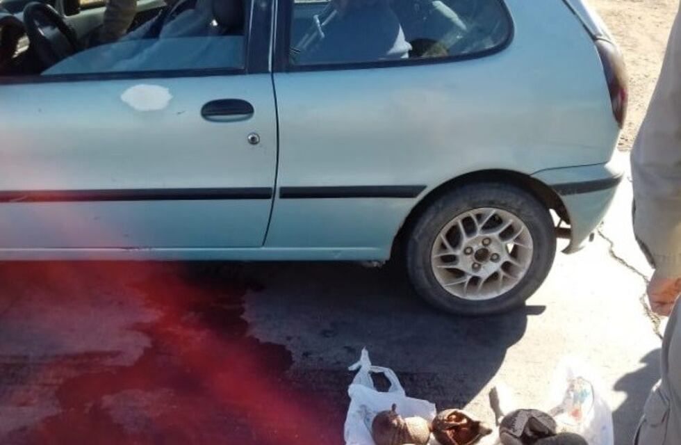 El Iscamen decomisó animales silvestres en el límite con San Juan