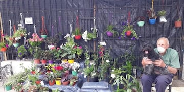 La historia de Rubén Viviani, el hombre detrás del vivero viral