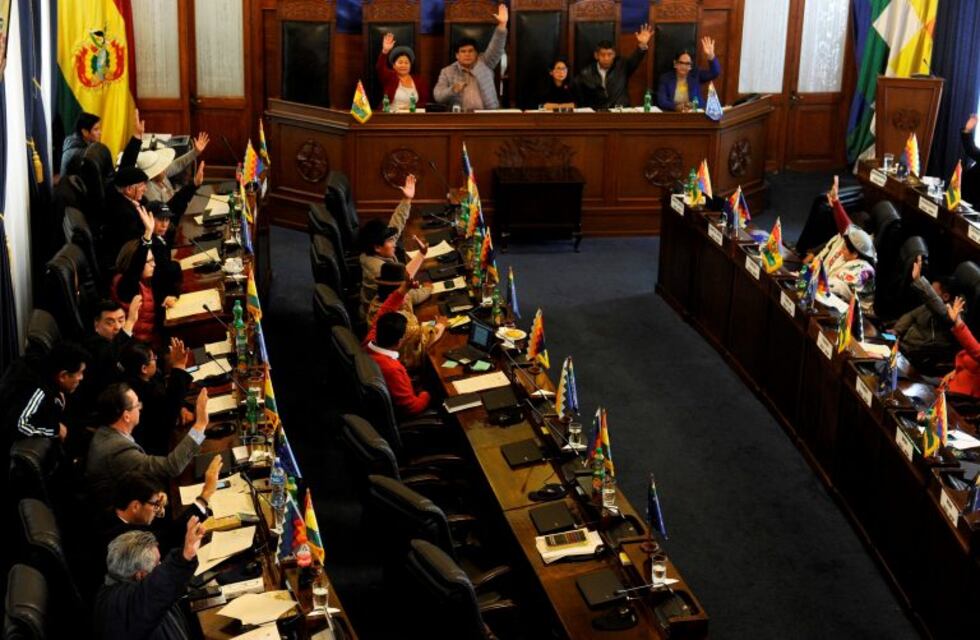 Bolivia: el Senado aprobó por unanimidad la convocatoria a nuevas elecciones