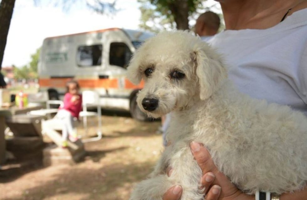 Excelente convocatoria de la Campaña de Vacunación Antirrábica en Carlos Paz
