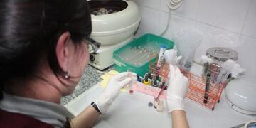 Corrientes se suma al programa nacional de donación de sangre de cordón umbilical\u002E (Foto: El Litoral)