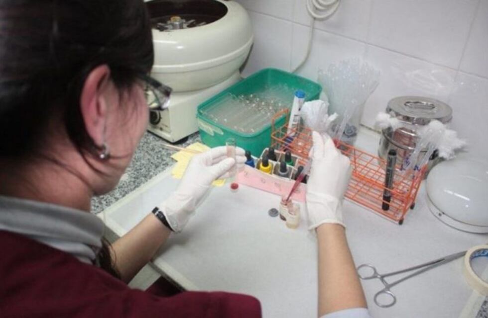 Corrientes se suma al programa nacional de donación de sangre de cordón umbilical