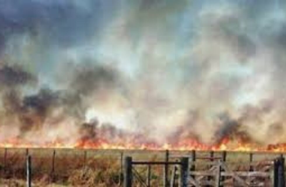 Protección Ciudadana dio a conocer medidas de prevención de incendios