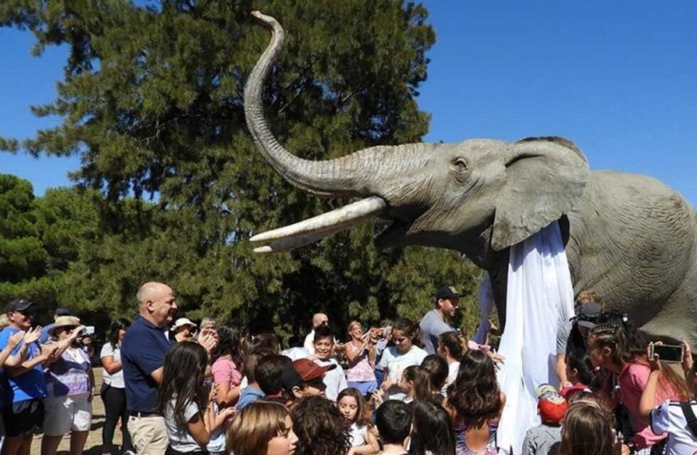 Ya está en Pehuen Co la réplica de Mastodonte