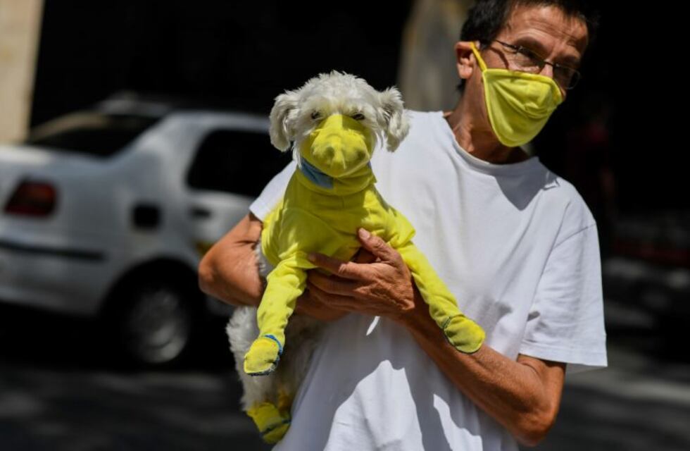 Coronavirus: por qué los veterinarios aconsejan no ponerle barbijo a las mascotas