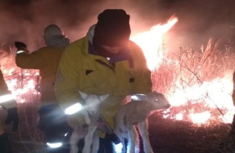 Personal de la Brigada Forestal de Entre Ríos salvó de los incendios una escuela de Islas y varias viviendas