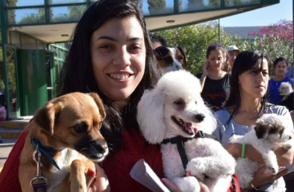 La Municipalidad de Córdoba te invita a adoptar una mascota en Navidad