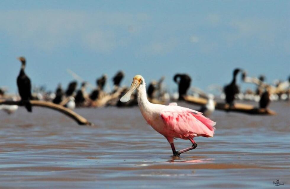 Lunes caluroso e inestable en Ansenuza
