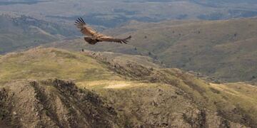 Quebrada del Condorito