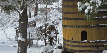 nieve en mendoza\u002E Alta montaña\u002E Turismo interno