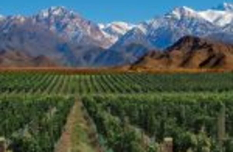 Valle de Uco busca posicionarse en la industria del cine