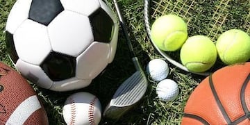 pelotas deportivas