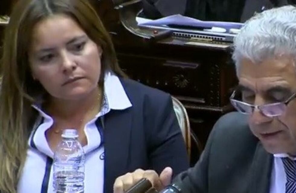 Los argumentos de los diputados sanjuaninos en contra del aborto