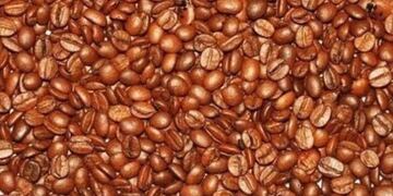 Desafu00edo visual bebu00e9s granos de cafu00e9