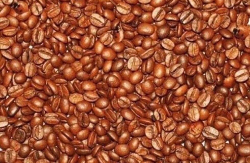 Desafío visual: encontrá a los tres bebés escondidos entre granos de café