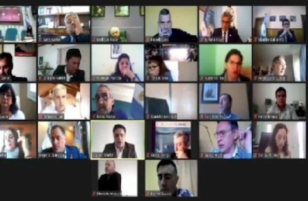 Diputados del Frente de Todos no quisieron tratar el proyecto de ley del uso del Ibuprofeno inhalado