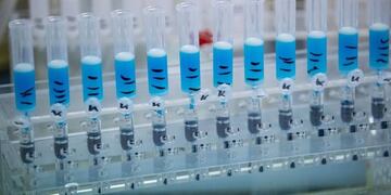 El brote en el establecimiento provocó que haya 59 infectados\u002E