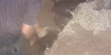 Un grupo de bomberos trabajó dos horas para lograr una salida\u002E